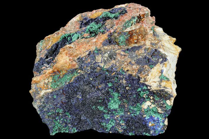 Large Malachite with Azurite Specimen ( Lbs) - Morocco #104071